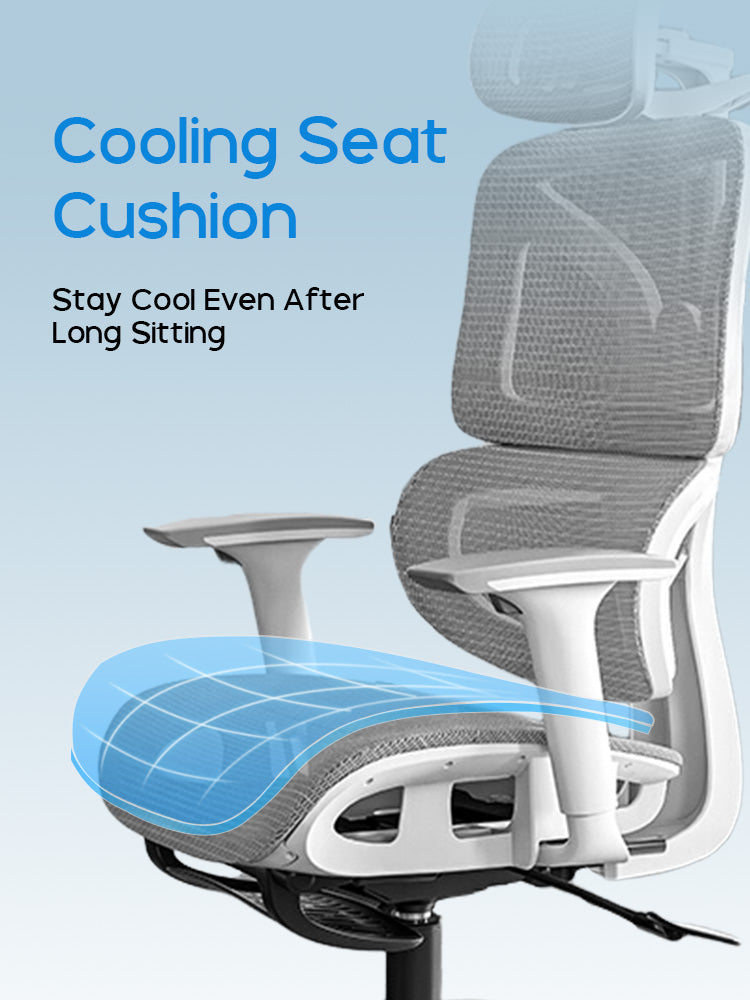 Xpanse W203 Ergonomic Chair