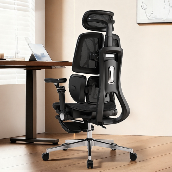 Xpanse Cloud Wing S028 Ergonomic Chair – Xpanse Official Store