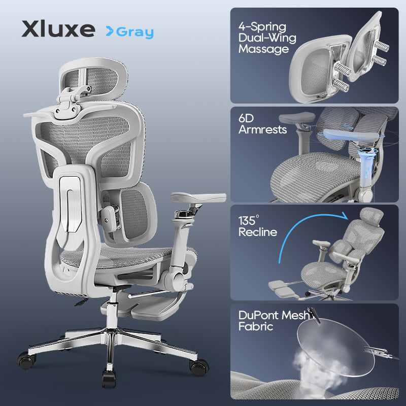 Xpanse Xluxe Ergonomic Chair