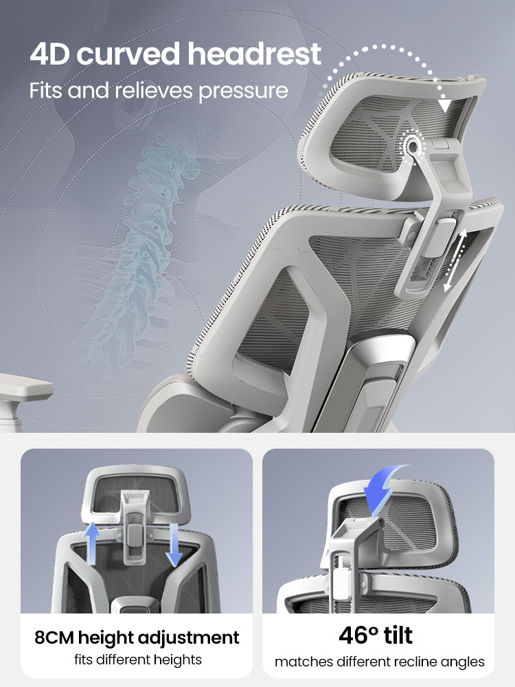 Xpanse XFlexi Ergonomic Chair