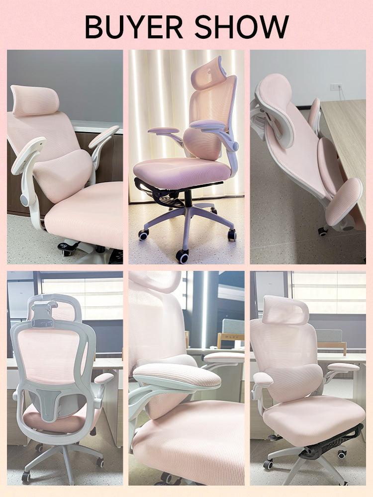 Xpanse Xharbor Office Chair