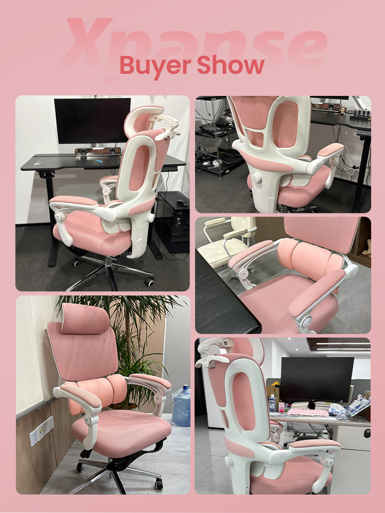 Xpanse XCherry Ergonomic Office Chair