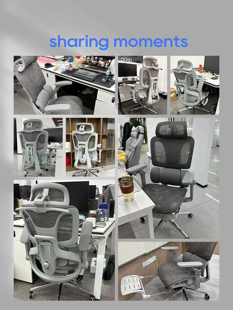 Xpanse X904 Ergonomic Office Chair